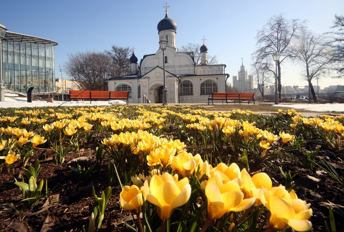 Зарядье 15 марта - Михаил Бибичков