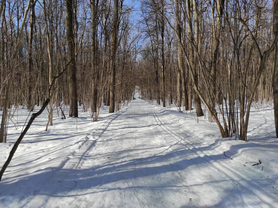 Лыжники уехали - Игорь Ч.