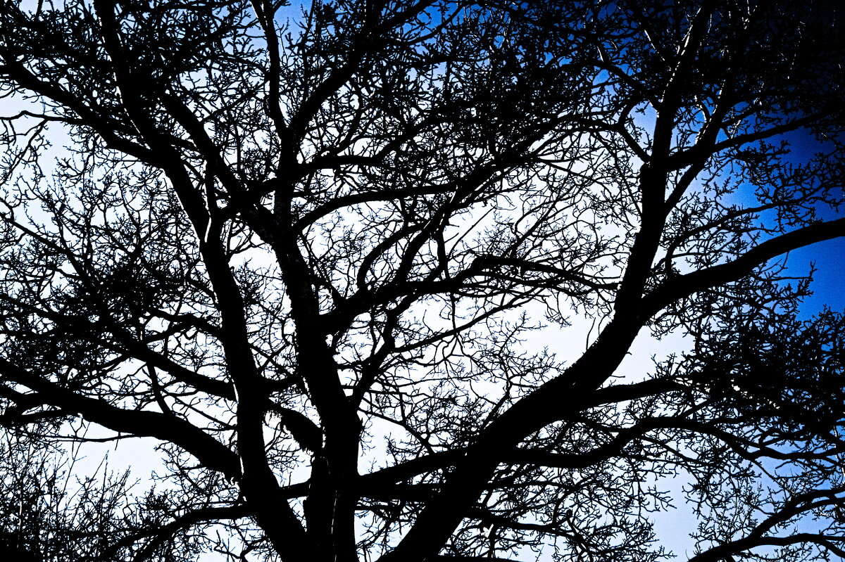 Тула. Графика. - Артём Евтюхов