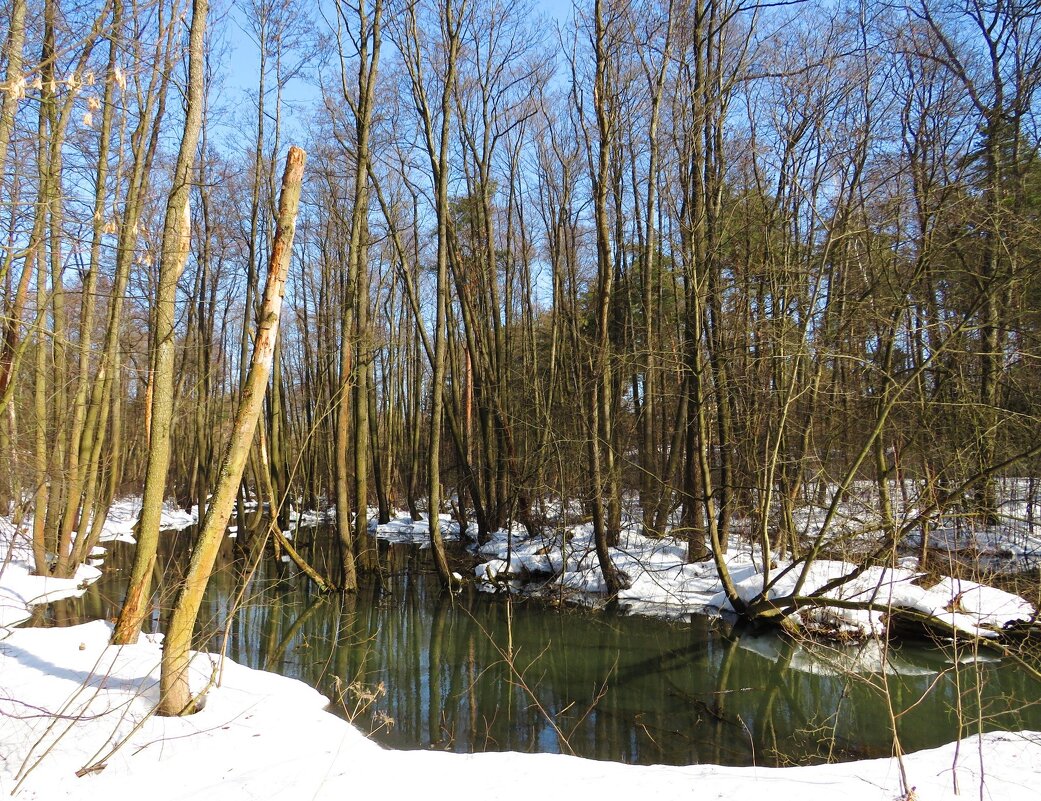 Начало половодья - Андрей Снегерёв Начало половодья - Андрей Снегерёв