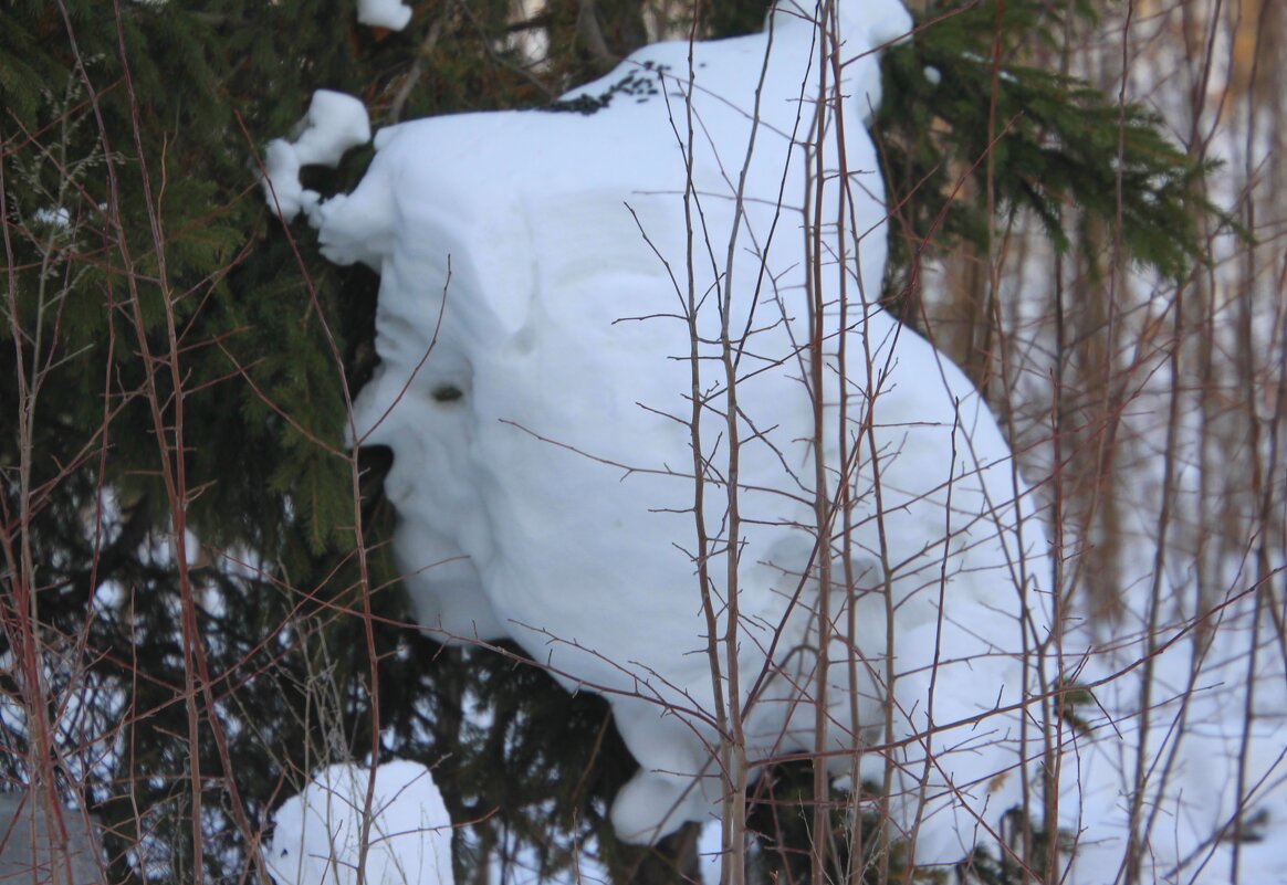 Сугроб - Savayr 