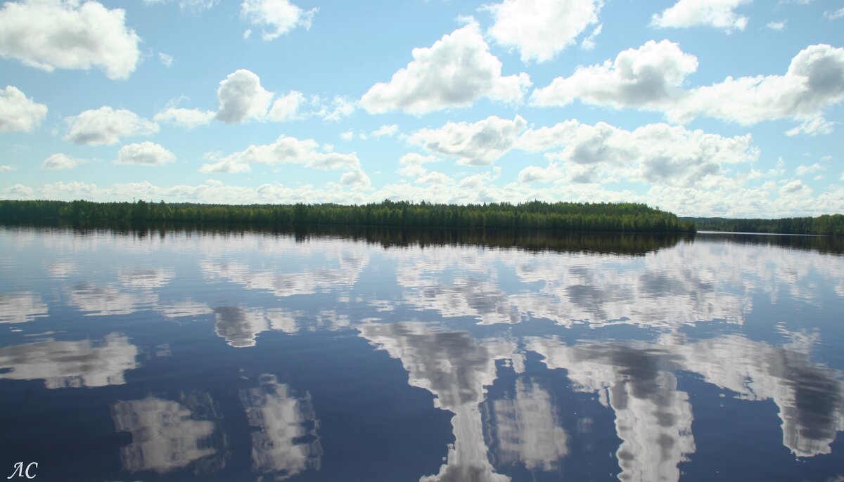 В Волгу смотрятся облака - Любовь Сахарова