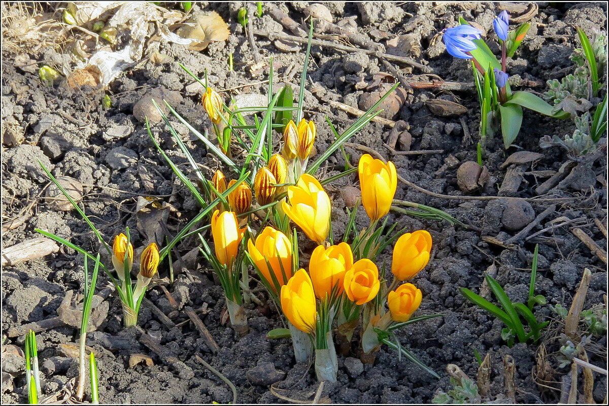 Весенняя семейка - Сеня Белгородский