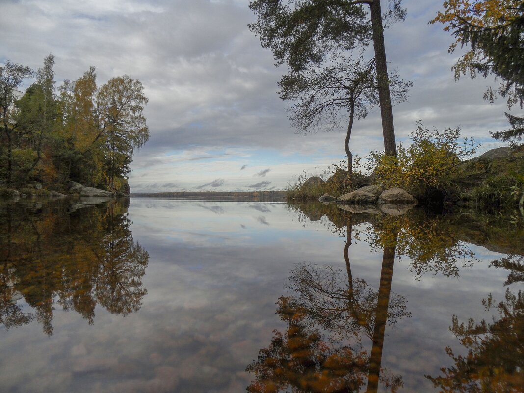 В тихой заводи....... - Юрий Цыплятников В тихой заводи....... - Юрий Цыплятников