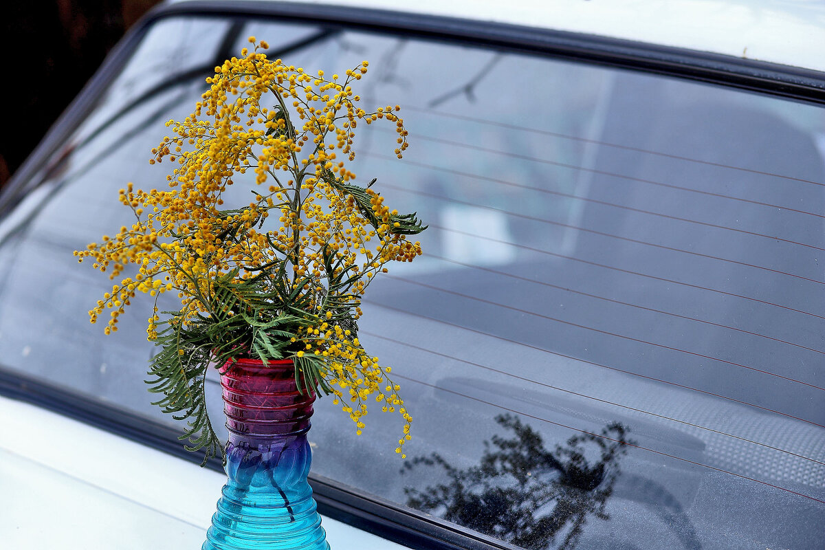 Восьмимартовское отражение - Юрий Гайворонскiий Восьмимартовское отражение - Юрий Гайворонскiий