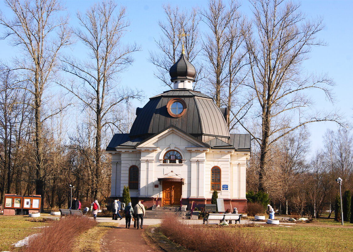 ВЕСЕННЕЕ - Виктор Никитенко ВЕСЕННЕЕ - Виктор Никитенко