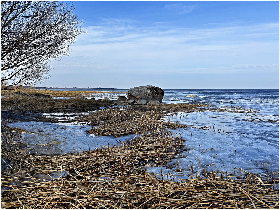 Весна на Калининградском заливе. - Валерия Комова Весна на Калининградском заливе. - Валерия Комова
