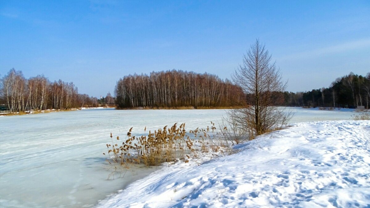 Весна на Смоленщине. - Милешкин Владимир Алексеевич Весна на Смоленщине. - Милешкин Владимир Алексеевич
