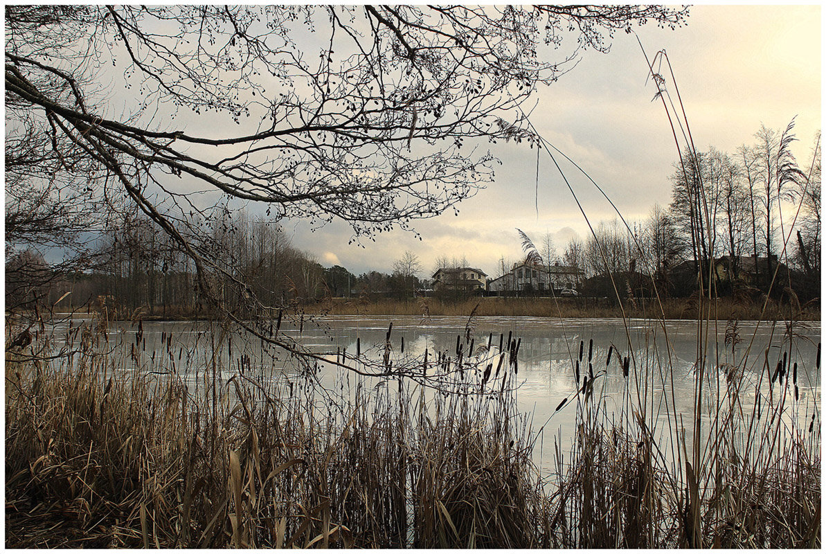 *** - Aleksandr Gal *** - Aleksandr Gal