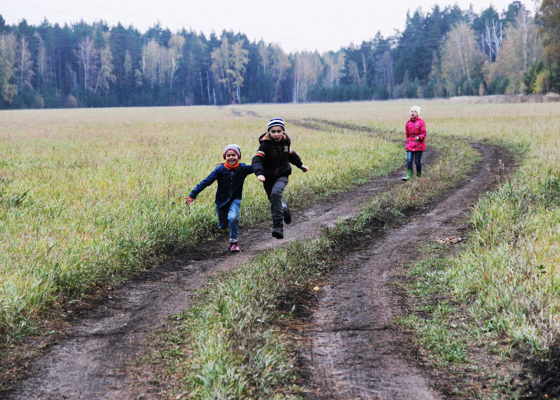 Прогулка по осени - СЮ Прогулка по осени - СЮ