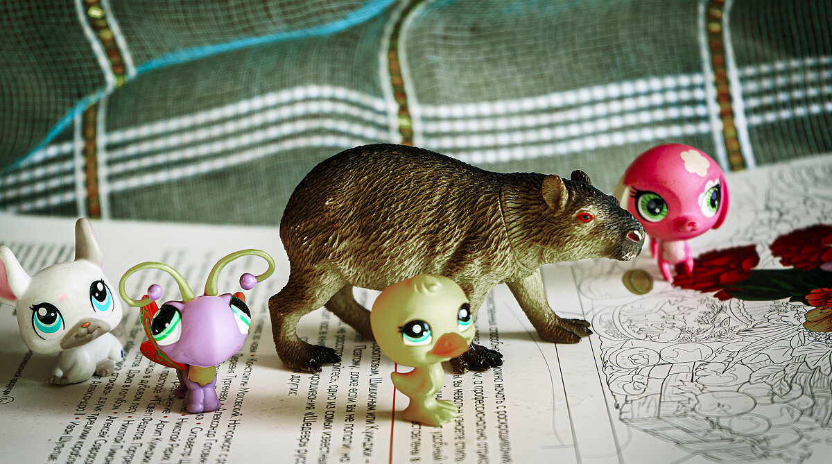 Прогулка - Владимир Кроливец