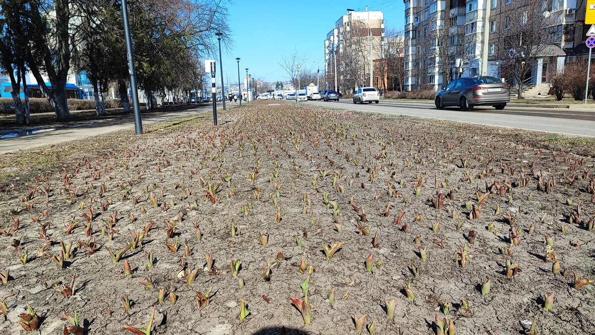 ,,, - Сергей Тимоновский