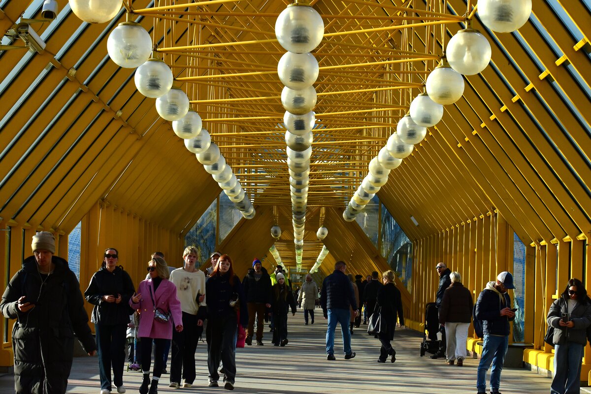 Андреевский пешеходный мост. - Наталья Вязигина