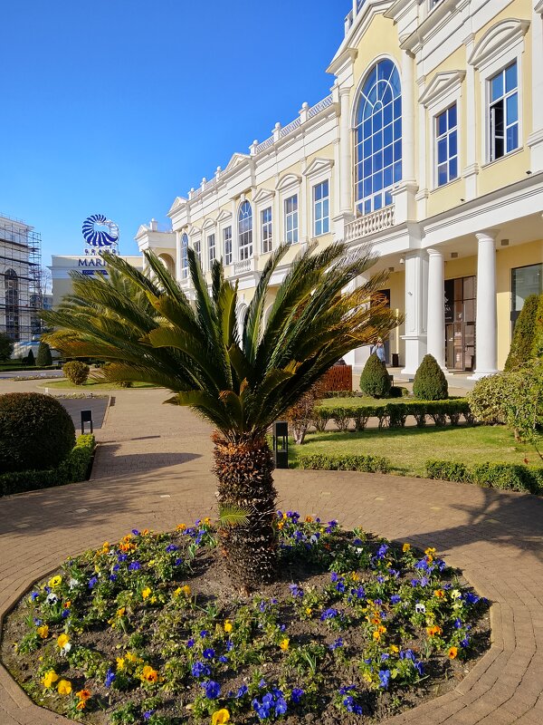 ПОРТ - Tata Wolf