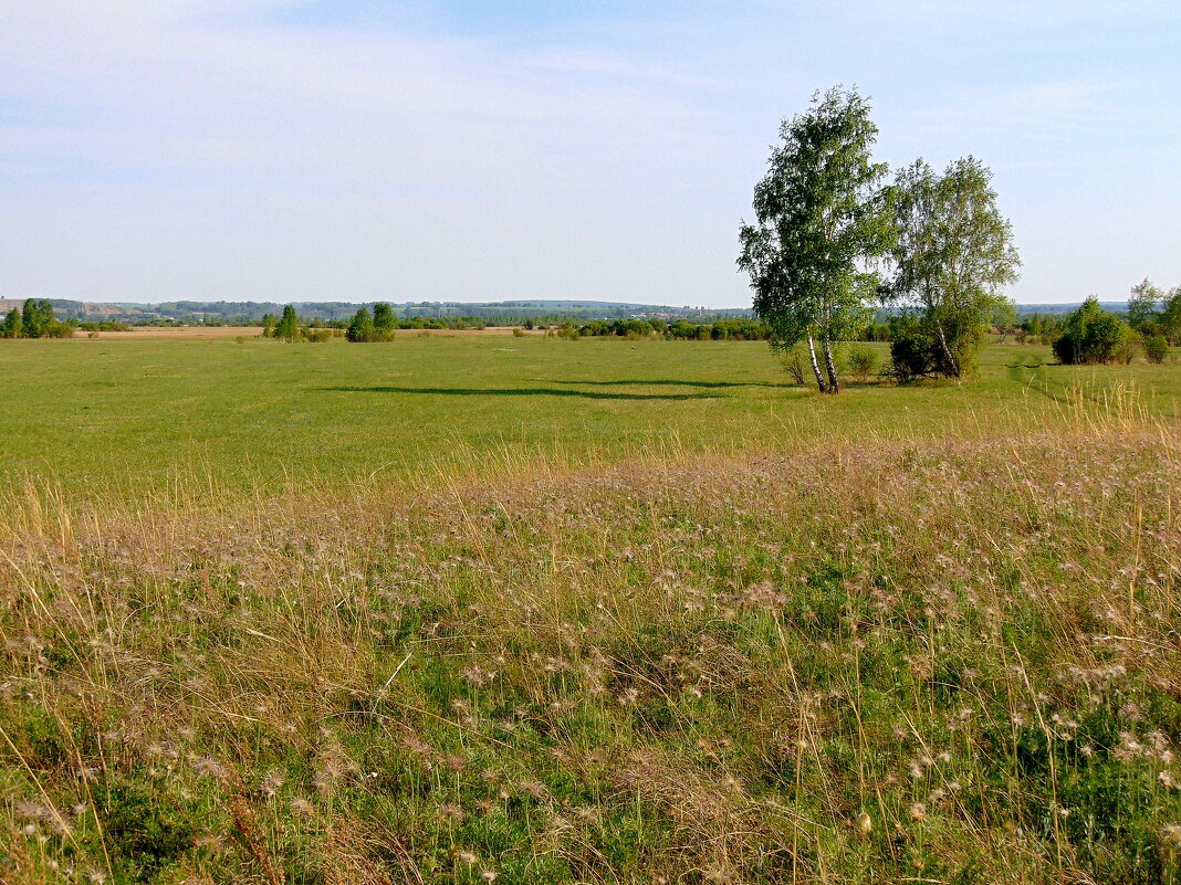 Простор родного края. - nadyasilyuk Вознюк