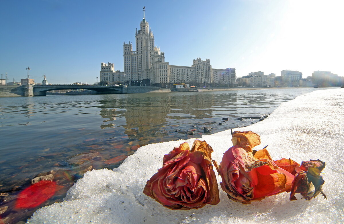 Котельническая наб 15 марта - Михаил Бибичков Котельническая наб 15 марта - Михаил Бибичков