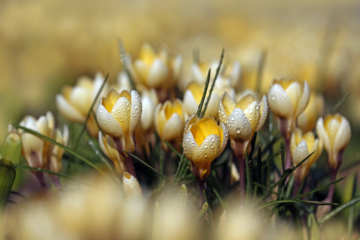 16 марта в Зарядье - Михаил Бибичков