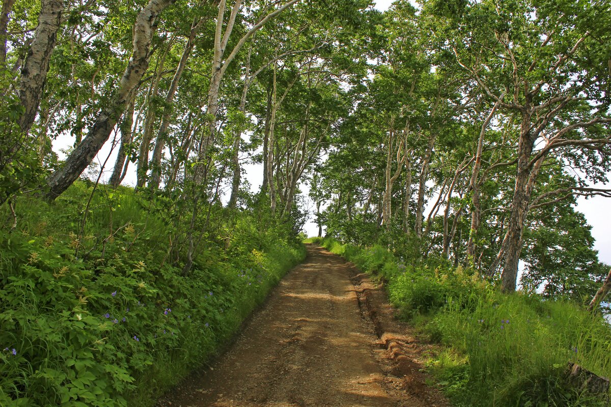 Дорога в гору - Владимир Соколов (svladmir)