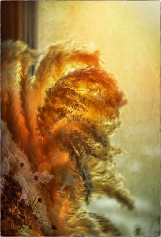 Вечерний свет... - Oleg Rastorguev