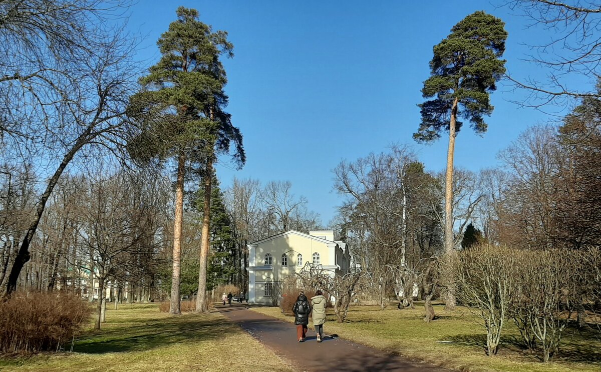 Парк Александрия. Март - Наталья Герасимова