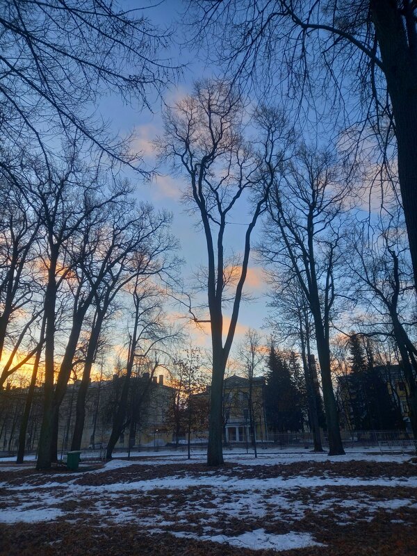 Рассвет - Сапсан 