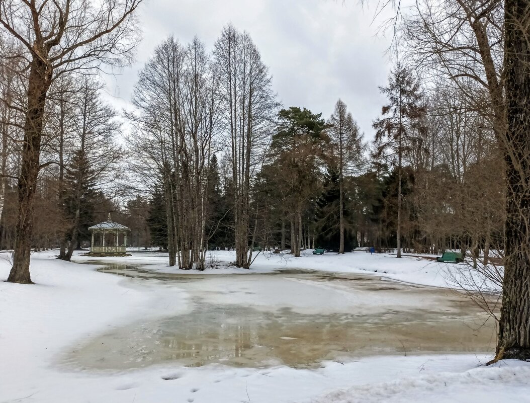 Прогулка в Нарва-Йыэсу - Veera V