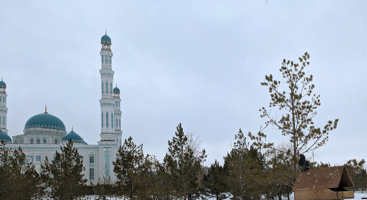 Мартовское утро - Андрей Хлопонин