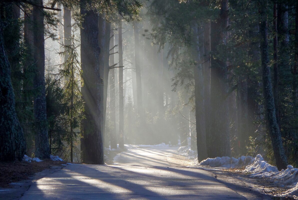 Утром туманным............ - Юрий Цыплятников
