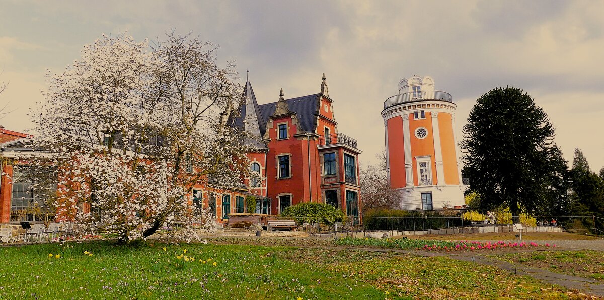 Весна(серия) - Владимир Манкер