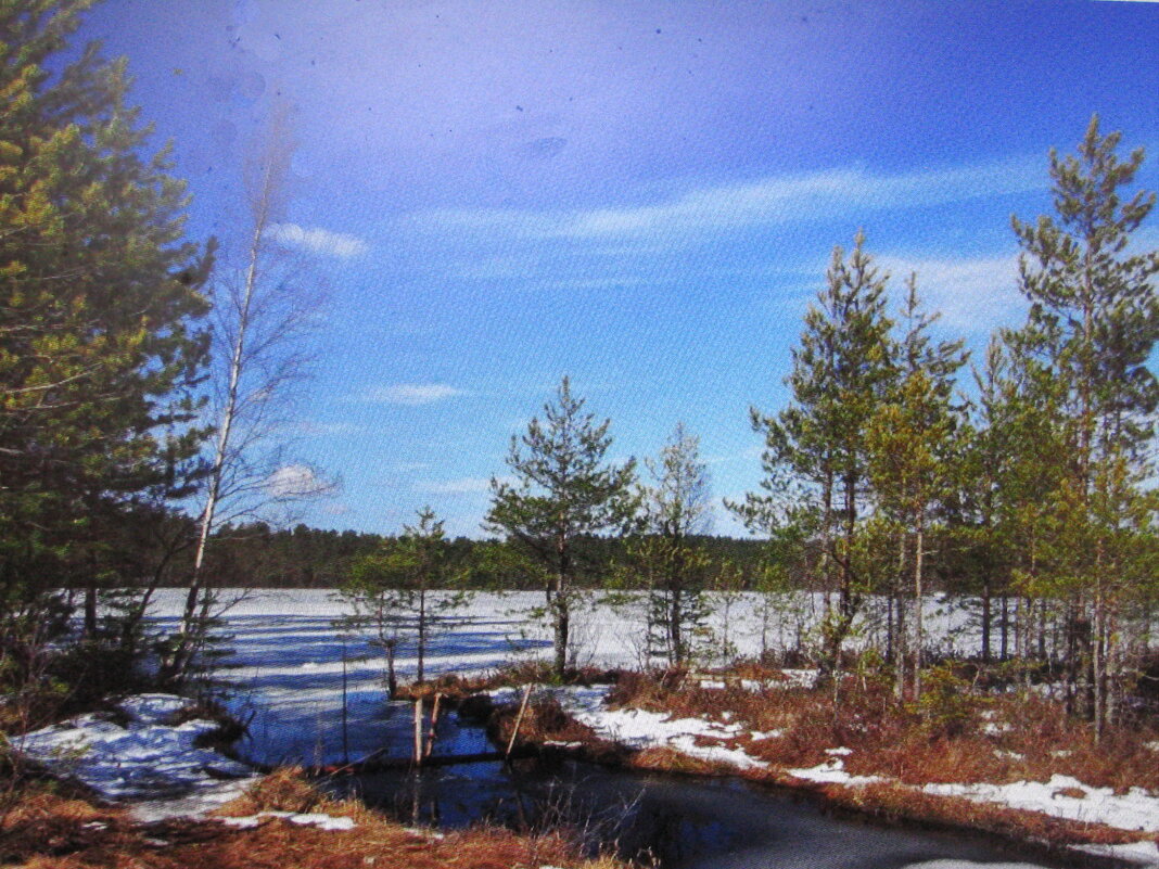 Красота весны - Людмила Смородинская