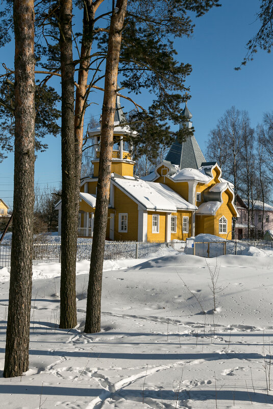 Солнечный день - Александр Силинский