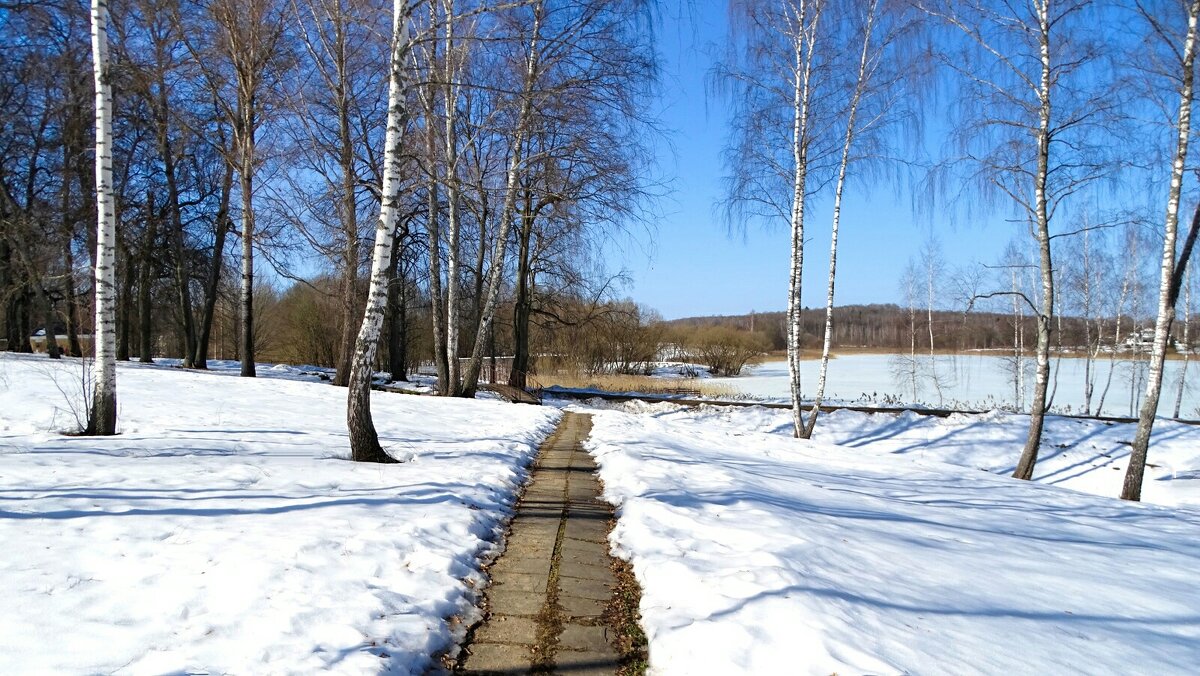 Весна на Смоленщине. - Милешкин Владимир Алексеевич 