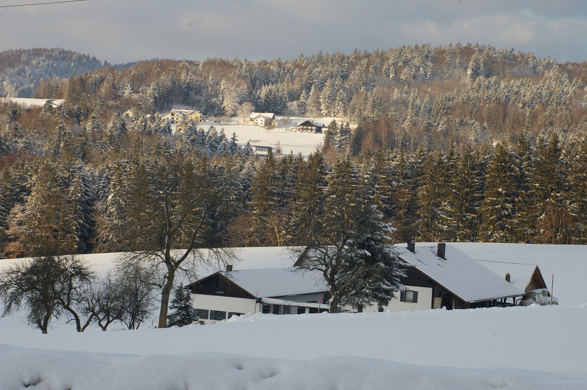 "Веял холод в лицо от угрюмых небес" - Ирэн 
