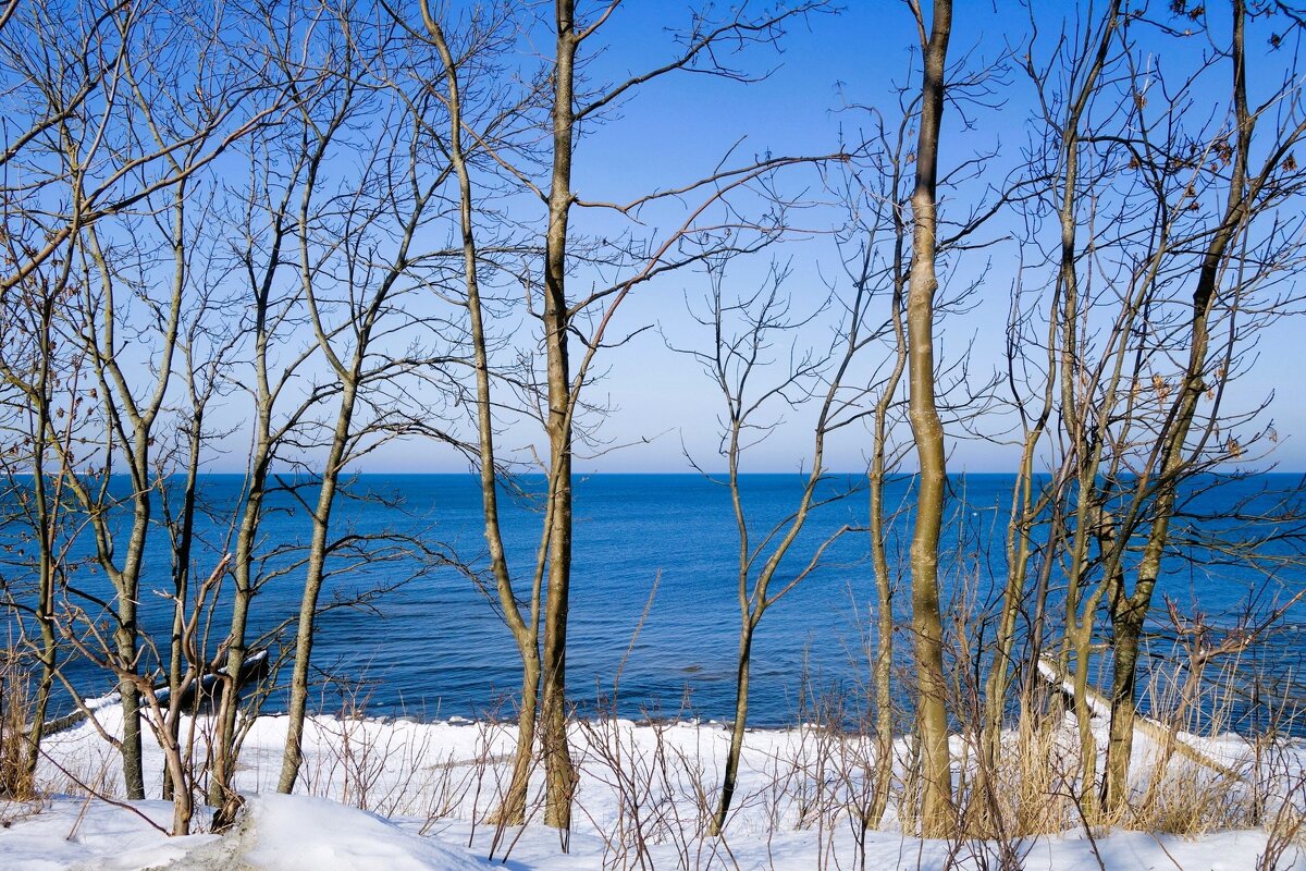 Февраль, Балтийское море и побережье, Калининградская область - Рита Симонова