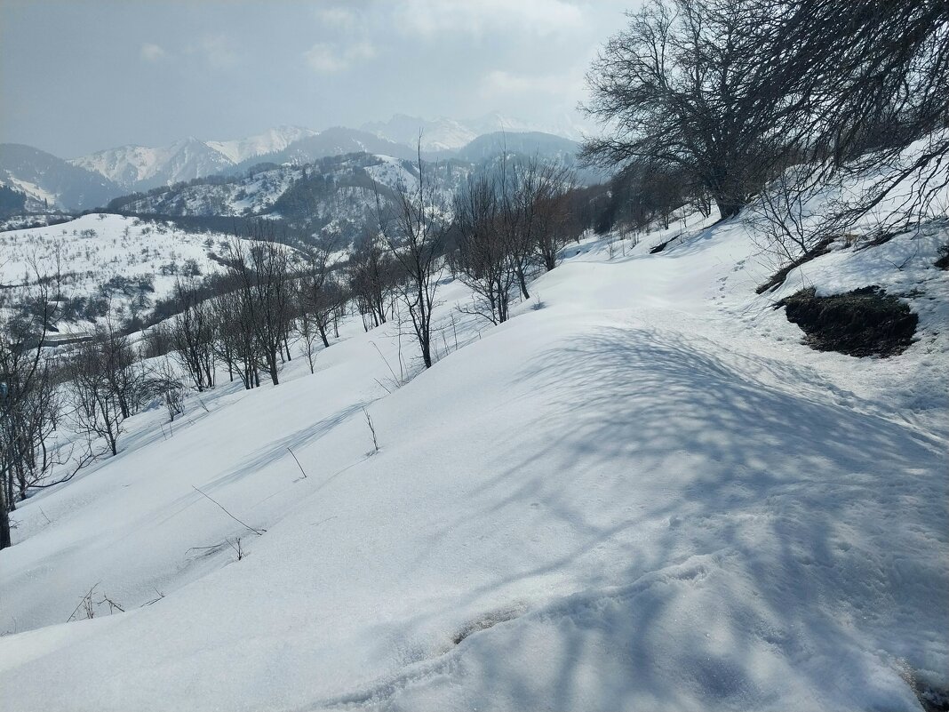 Talgar. - Murat Bukaev 