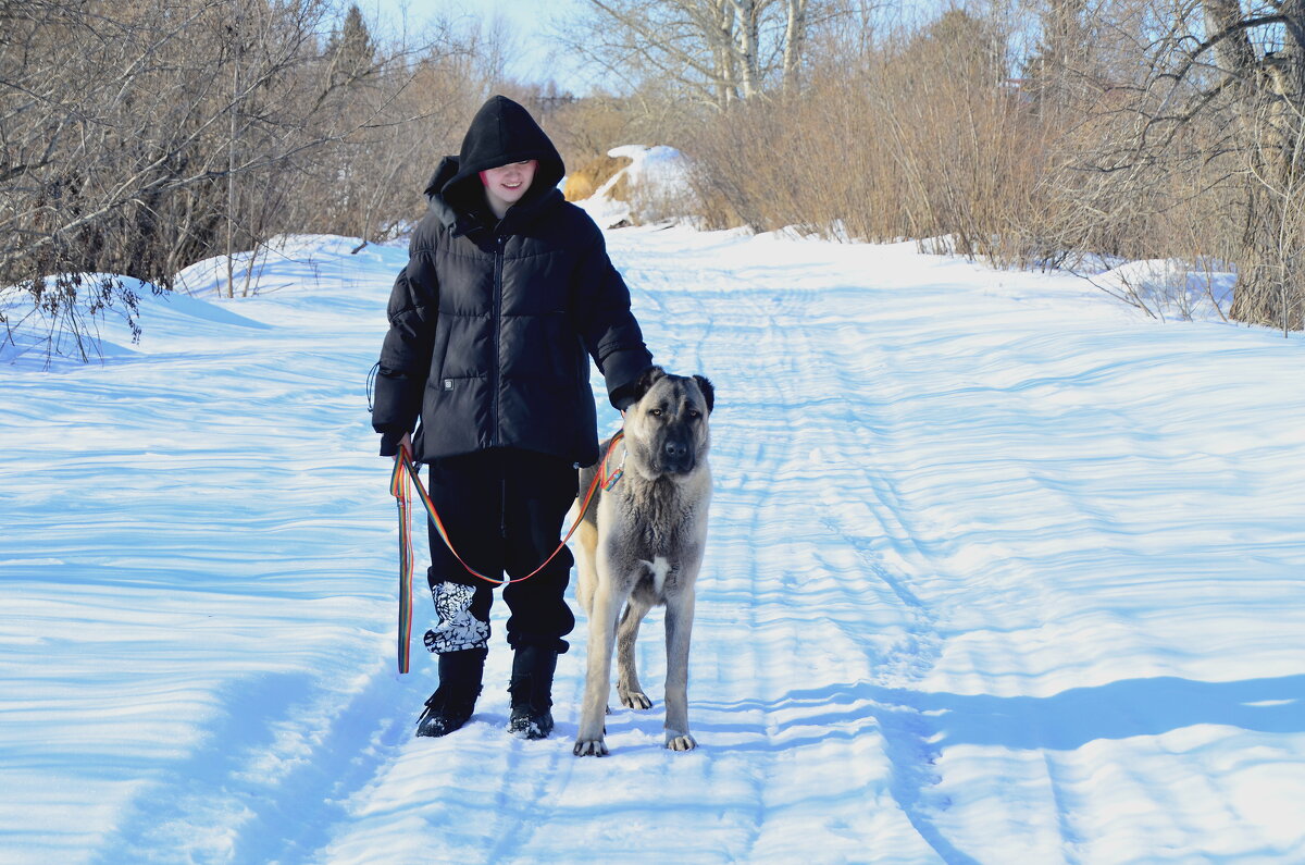 Собачка " скромных размеров". - Михаил Курзанцев