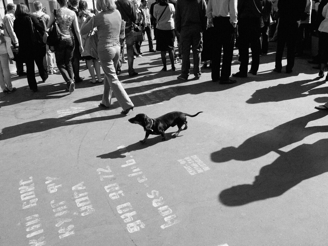 *** - Сергей Золотавин