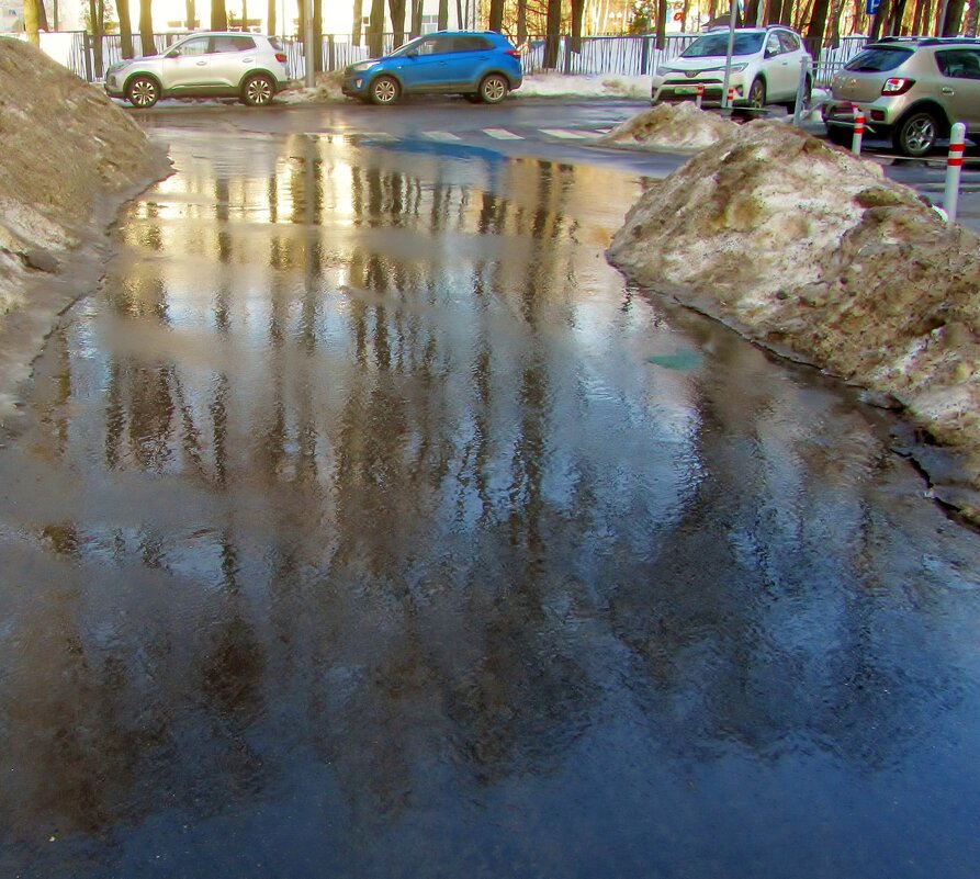 ...весенние "зеркала" - galalog galalog