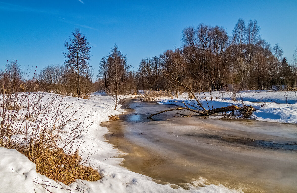 Середина Марта 4 - Андрей Дворников