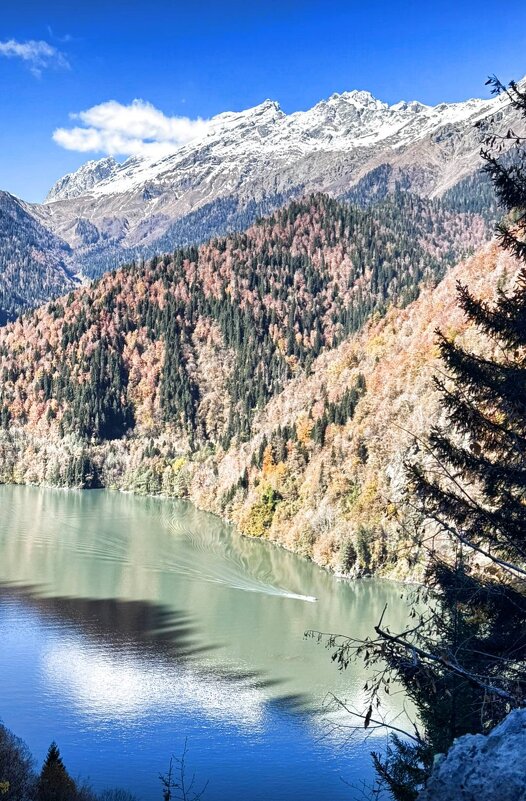 Рица - Serega SchütZ