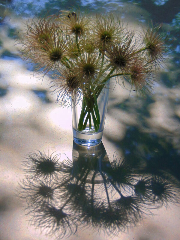 Когда отцвёл прострел. - nadyasilyuk Вознюк