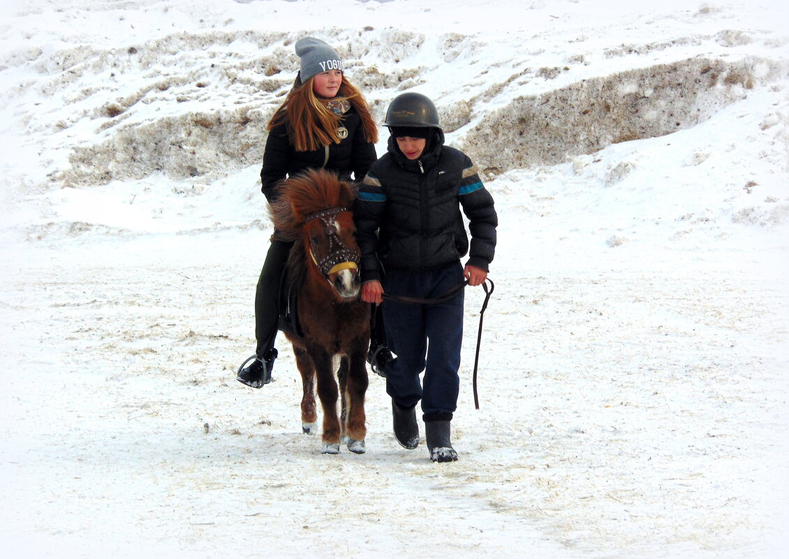 У каждой свой принц на коне. - nadyasilyuk Вознюк