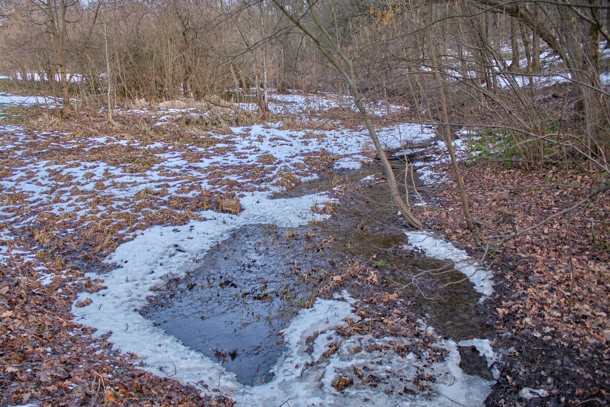 Весенние картинки ... - Ravile 