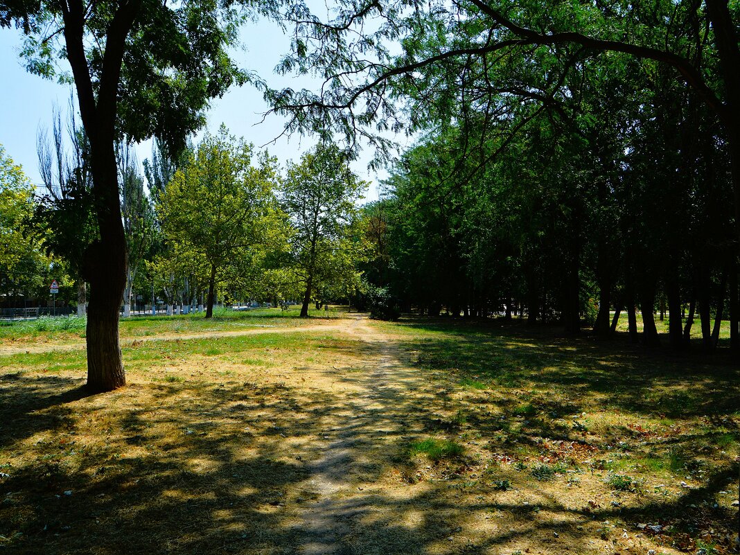 Керчь. Тропинка Комсомольского парка. - Пётр Чернега