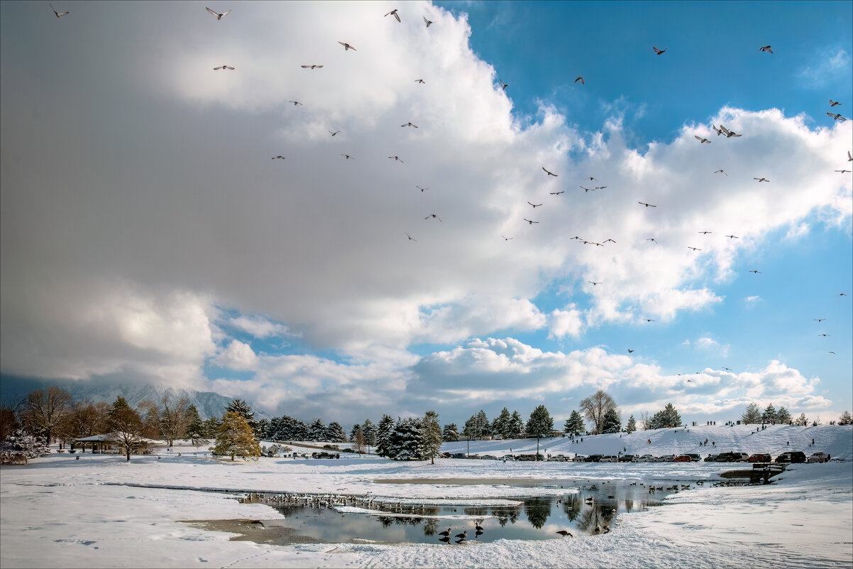 Мороз и солнце - **** vedin