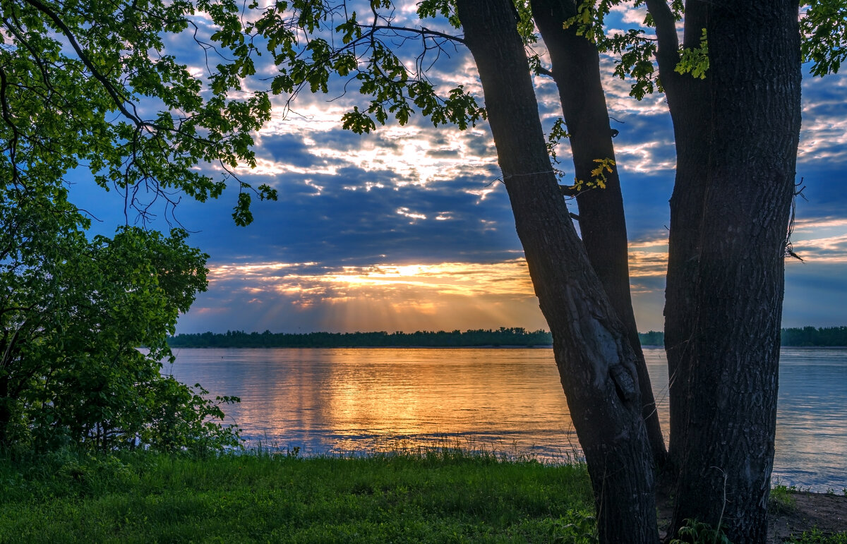 Очарование вечера - Наталья Димова