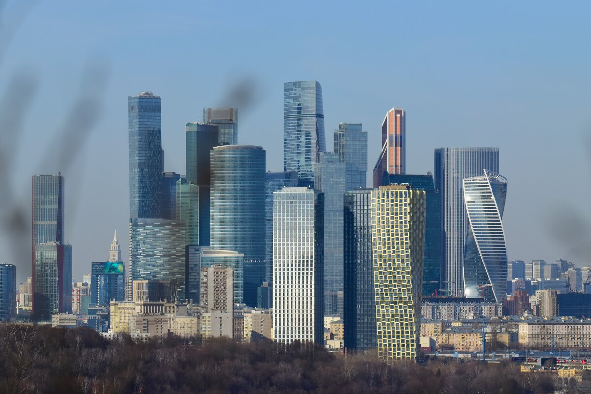 Москва сити. Вид с Воробьёвых гор. - Наталья Вязигина