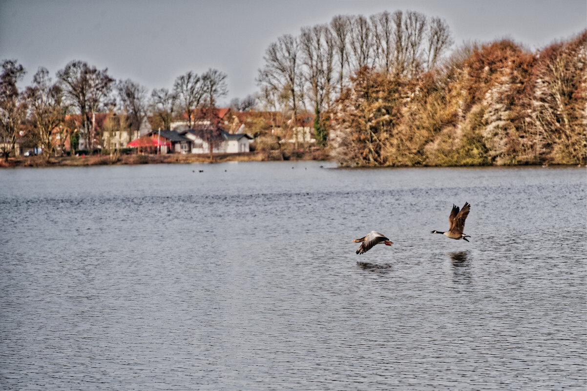 Озеро Липпа - Jakob Dick