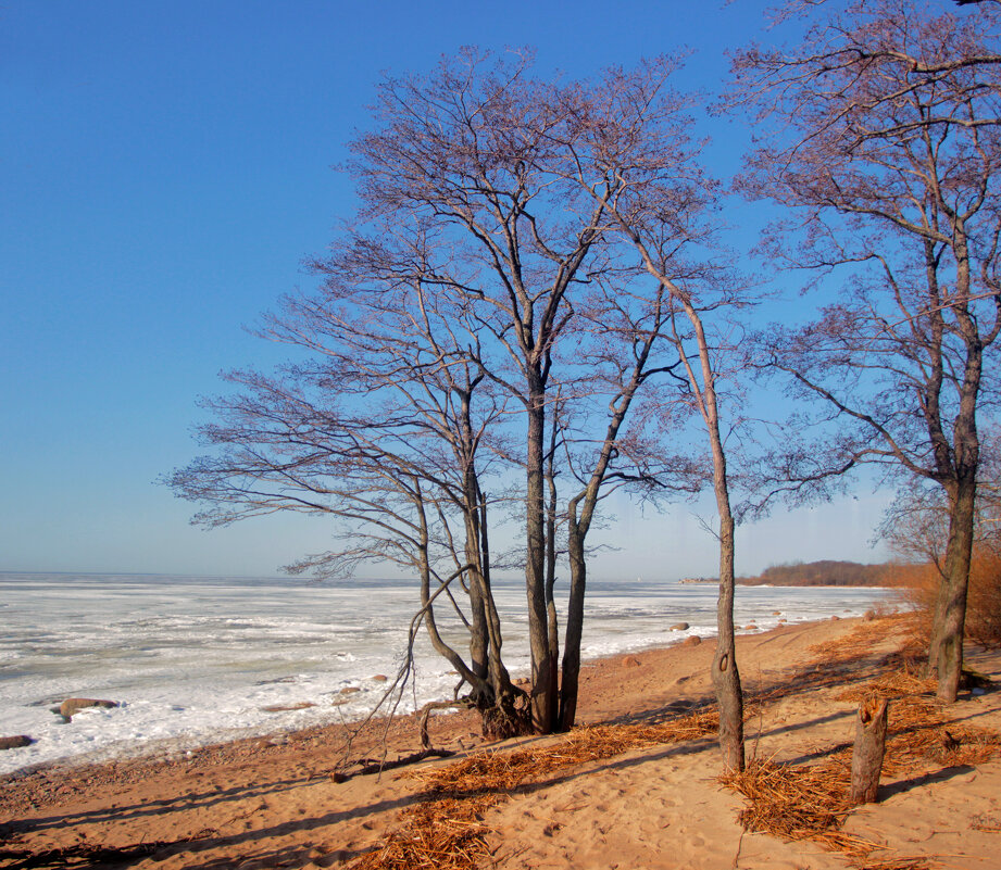 *** - Сергей Григорьев