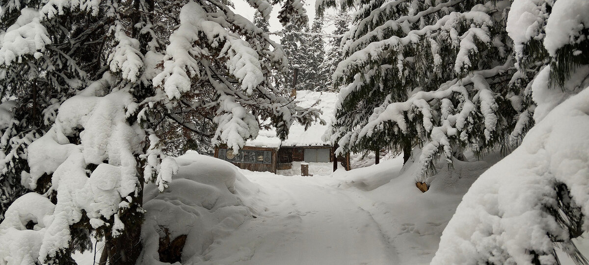 Чудесный день!!! - Радмир Арсеньев